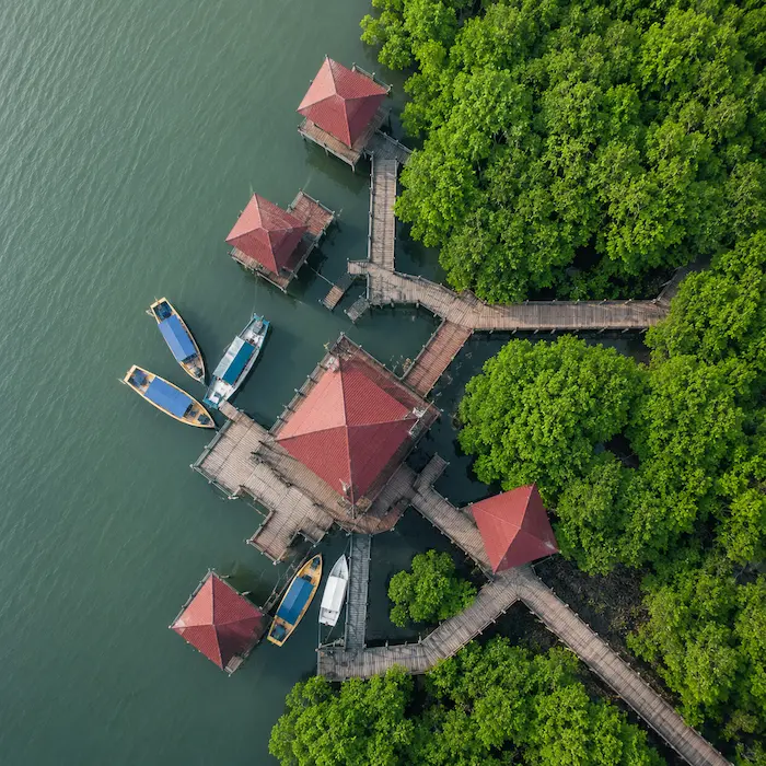 Borneo rainforest river and wildlife journey